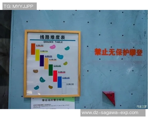 吴秀英的攀岩人生：在高峰之上与自我对话的深度探索