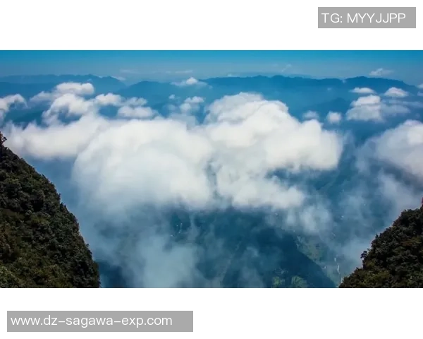 重庆篮球队的耐力之道：从训练到比赛的全方位解析与展望